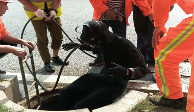 南京管道 CCTV（闭路电视系统） 检测报告